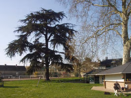 La Courbette — foto 3
